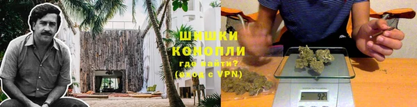 прущие грибы Покров
