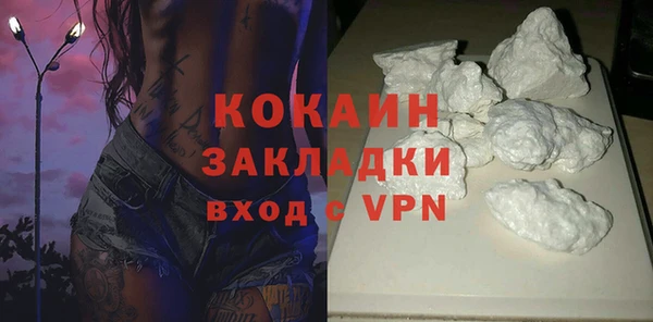 прущие грибы Покров